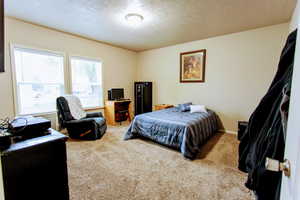 Carpeted bedroom with a textured ceiling