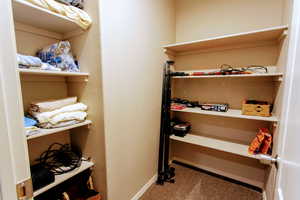 Spacious closet with carpet floors