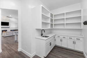 Pantry featuring sink