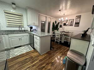 Kitchen with black dishwasher, pendant lighting, dark hardwood / wood-style floors, and tasteful backsplash