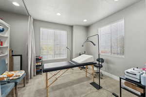 Exercise area with a wealth of natural light, a textured ceiling, and light colored carpet