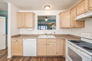 Kitchen featuring light brown cabinetry, dark hardwood / wood-style flooring, sink, and white appliances