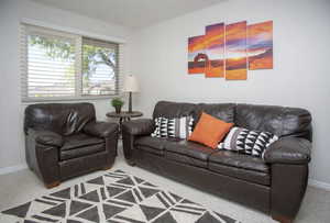 Living room featuring carpet floors