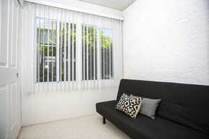 Living area featuring carpet