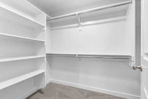 Walk in closet with carpet flooring