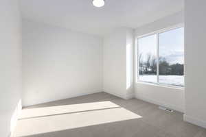 Empty room featuring a wealth of natural light and carpet