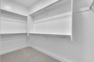 Spacious closet featuring light colored carpet