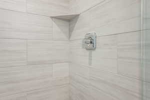 Interior details with a tile shower