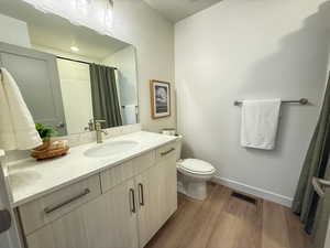 Bathroom featuring wood-type flooring, vanity, and toilet