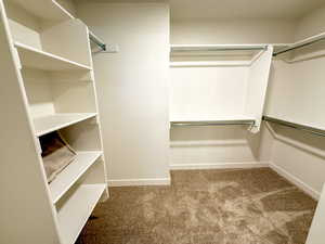 Walk in closet with carpet flooring