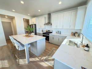 Kitchen featuring a center island, sink, light hardwood / wood-style flooring, wall chimney exhaust hood, and stainless steel appliances