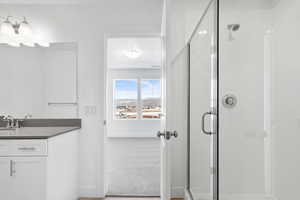 Bathroom featuring vanity and a shower with shower door