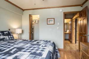 Bedroom featuring ornamental molding, light hardwood / wood-style floors, a spacious closet, and a closet