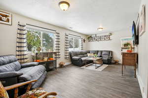 Living room featuring wood-type flooring