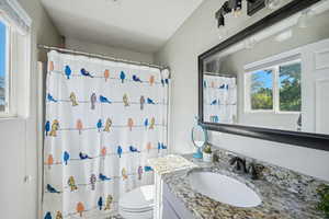 Bathroom featuring a shower with curtain, vanity, and toilet