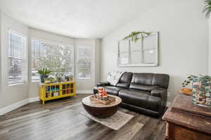 Living room with a textured ceiling, vaulted ceiling, and hardwood / wood-style flooring