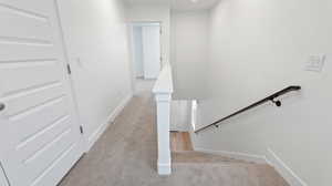 Staircase featuring carpet flooring