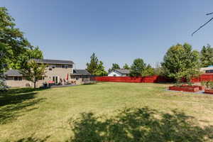 View of yard with a trampoline