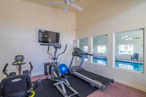 Exercise room with ceiling fan, a healthy amount of sunlight, and carpet floors