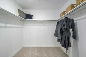 Spacious closet featuring light colored carpet