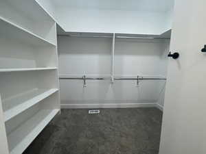 Master Closet