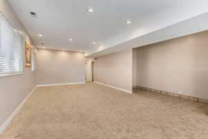 Basement Family Room