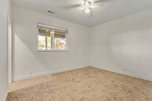 2nd Basement Bedroom