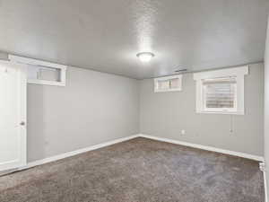 Basement with a textured ceiling and carpet floors