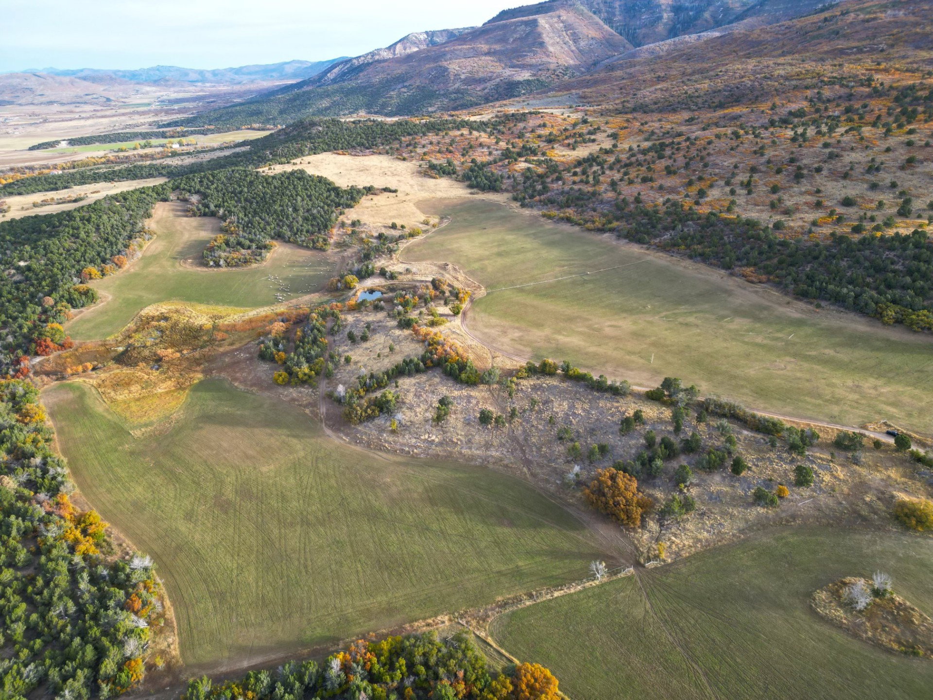 Could this be a Par 3?