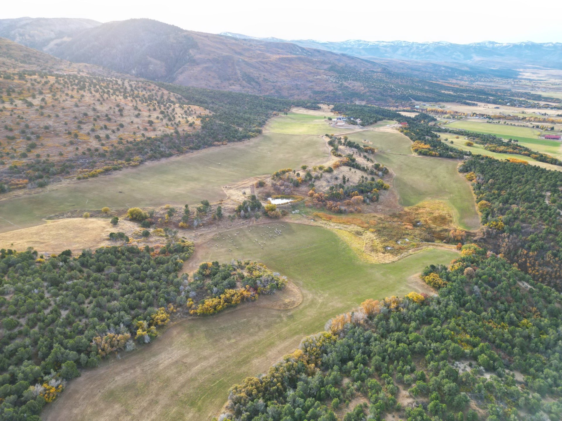 Can you even hit the fairway?