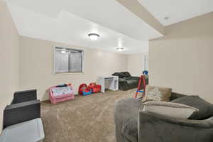 Recreation room with carpet floors