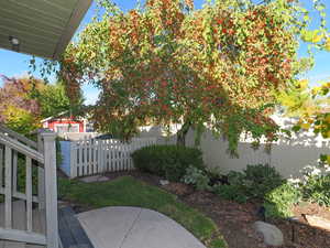 View of yard featuring a patio