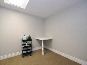 Miscellaneous room with light colored carpet and a textured ceiling