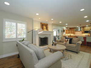 Living room featuring a fireplace, dark hardwood / wood-style flooring, and sink