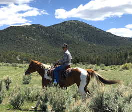 Property view of mountains