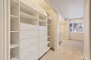 Walk in closet with light carpet