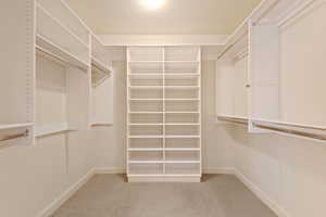 Walk in closet featuring carpet floors