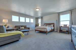 Carpeted bedroom with a textured ceiling