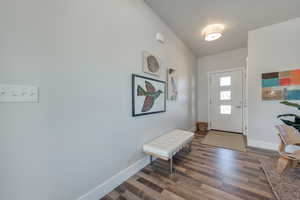 Foyer entrance with dark wood-type flooring