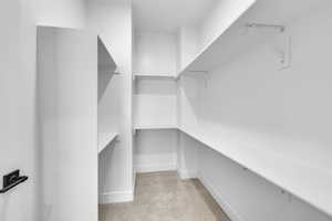 Master walk in closet featuring light colored carpet