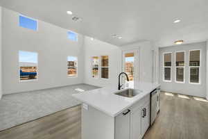 Kitchen featuring white cabinetry, light carpet, sink, an island with sink, and dishwasher