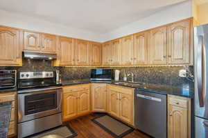 Kitchen with backsplash, appliances with stainless steel finishes, sink, and dark hardwood / wood-style floors