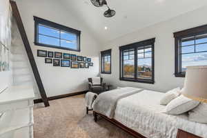 Carpeted bedroom with lofted ceiling