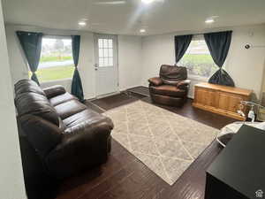 Living room with plenty of natural light and dark wood-style flooring