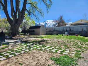 View of yard with a mountain view and a storage unit