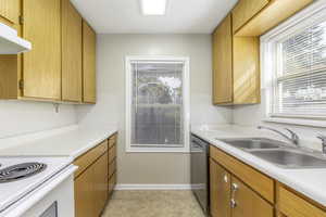 Kitchen featuring stainless steel dishwasher and sink