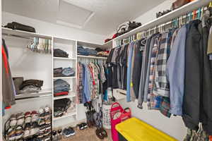 Walk in closet with carpet