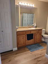 Main Bathroom with hardwood / wood-style floors, vanity, toilet, and a shower with curtain