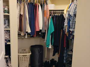 Spacious Master closet with carpet floors