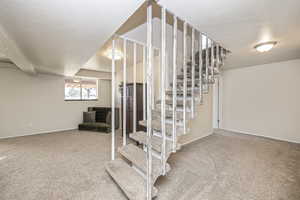 Stairs to Basement featuring carpet flooring and a textured ceiling, large open family room